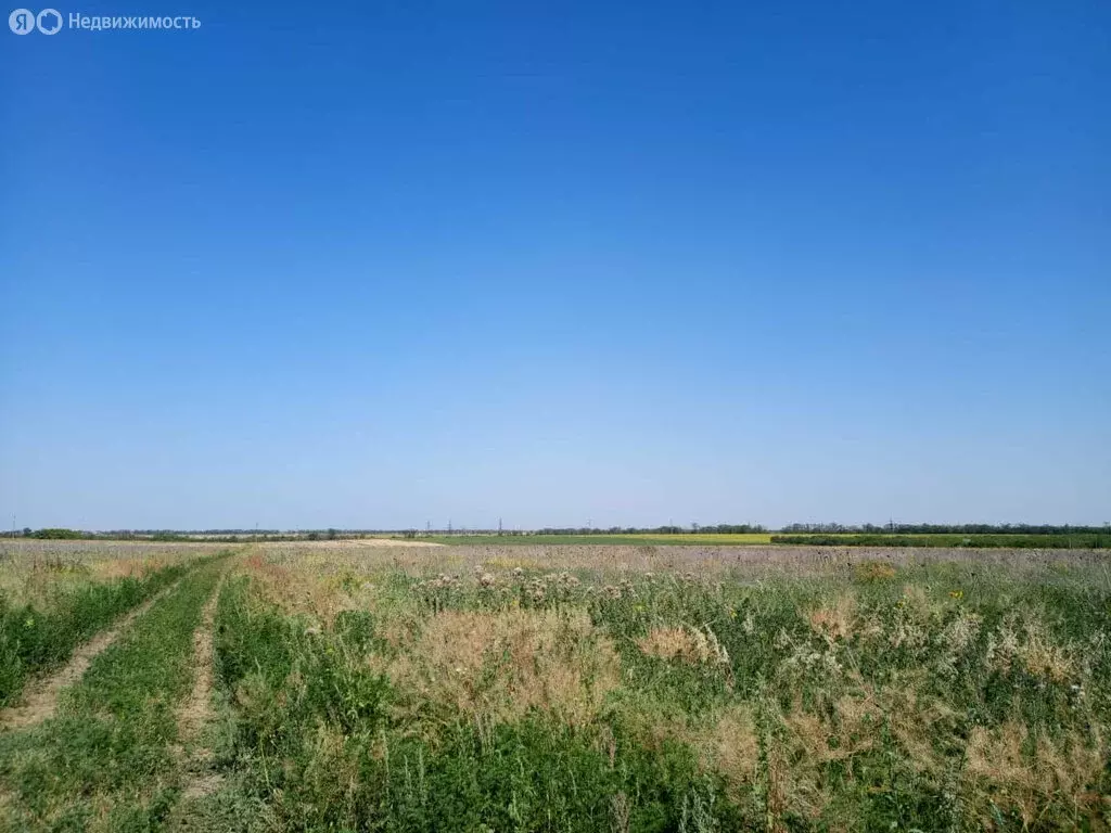 Участок в Ейск, СНТ Лотос (5 м) - Фото 1
