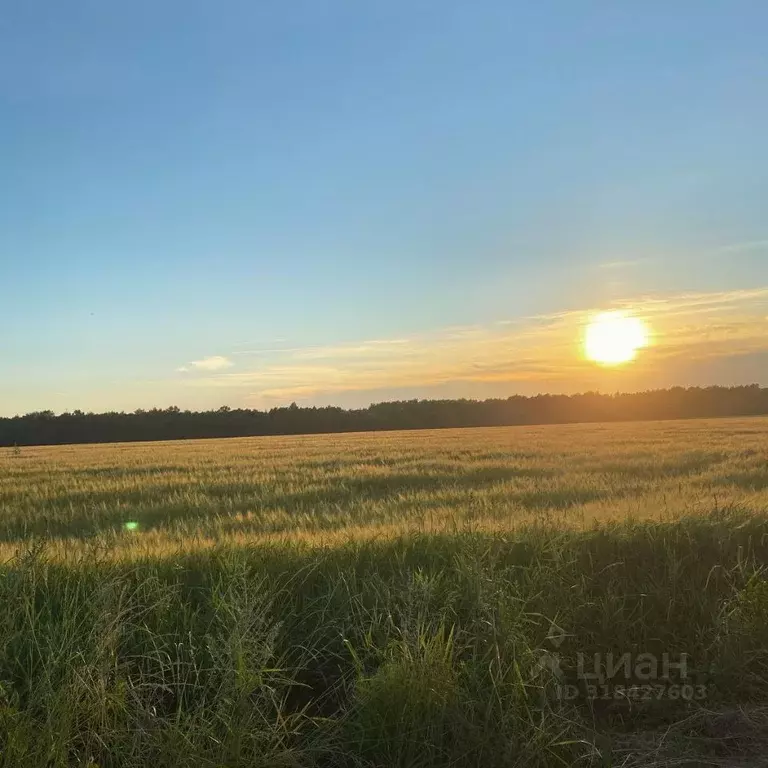 Участок в Нижегородская область, Кстово ул. Лучистая, 22 (20.8 сот.) - Фото 1