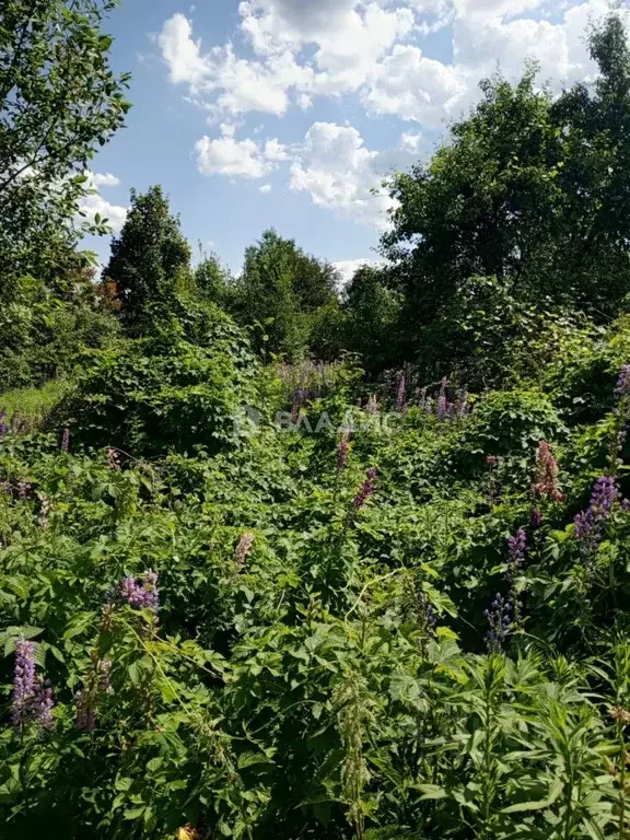 Участок в Пензенская область, Пензенский район, Алферьевский ... - Фото 2