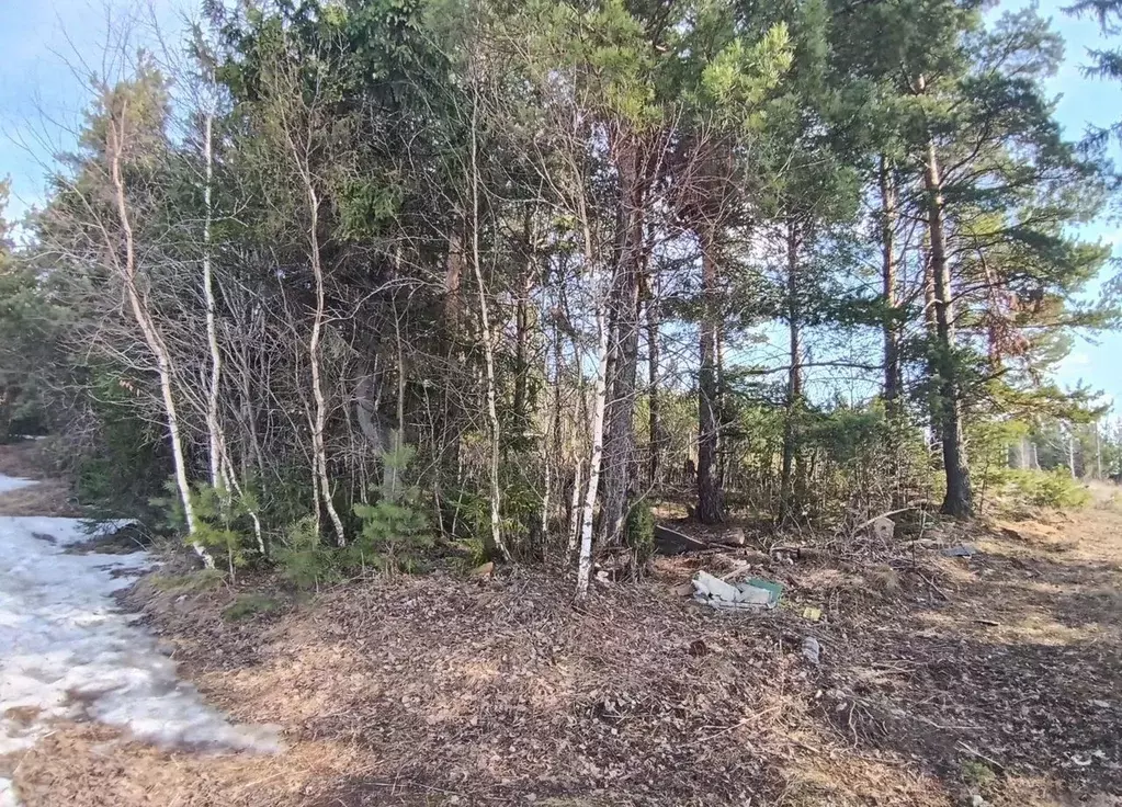 Участок в Свердловская область, Ревда  (10.0 сот.) - Фото 2