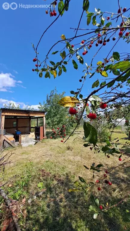 Дом в Челябинская область, Чебаркуль (30 м) - Фото 0