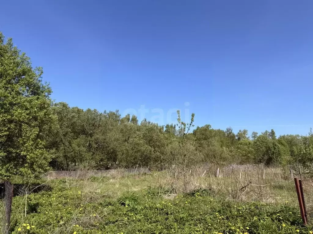 Участок в Смоленская область, Смоленск пос. Миловидово,  (4.28 сот.) - Фото 1