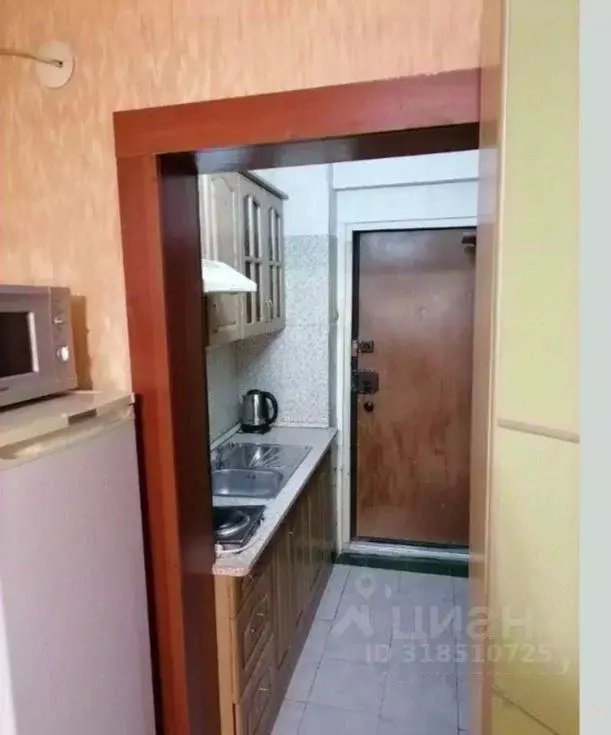 Студия Иркутская область, Иркутск Пограничный пер., 1в (19.0 м) - Фото 1