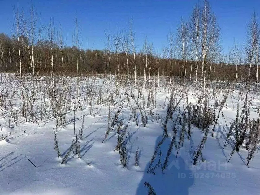 Участок в Тюменская область, Тюменский район, с. Каменка  (6.4 сот.) - Фото 0