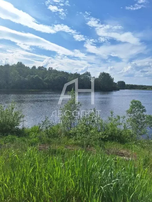 Участок в Московская область, Сергиево-Посадский городской округ, ... - Фото 1