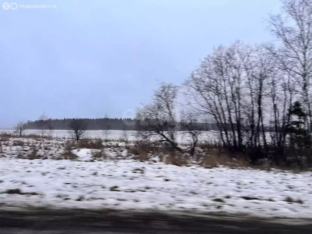 Участок в Ярославская область, Тутаевский муниципальный округ, деревня ... - Фото 2