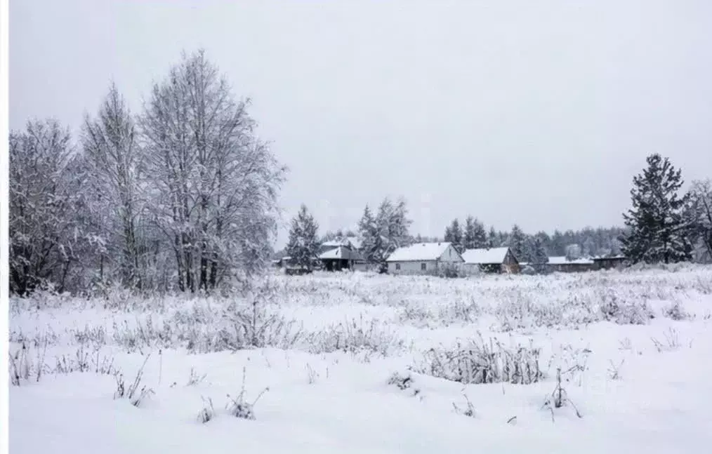Участок в Тульская область, Тула городской округ, д. Харино проезд 2-й ... - Фото 2