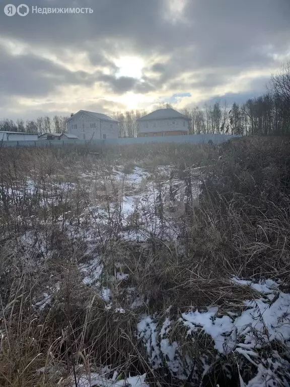 Участок в Щёкинский район, сельское поселение Яснополянское, деревня ... - Фото 2