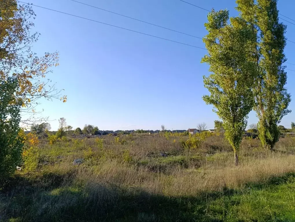 Участок в Краснодарский край, Темрюкский район, Краснострельское ... - Фото 1