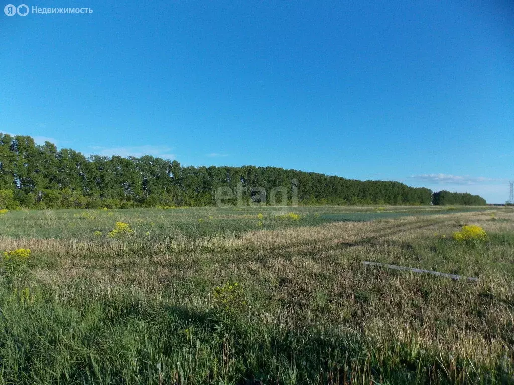 Участок в Кемеровский муниципальный округ, село Ягуново (100 м) - Фото 0