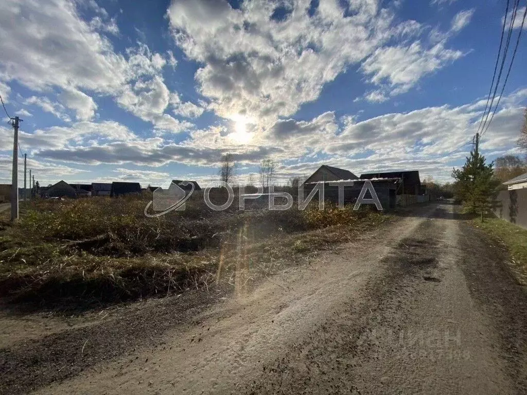 Участок в Тюменская область, Тюмень Якорь садовое товарищество, ул. ... - Фото 2