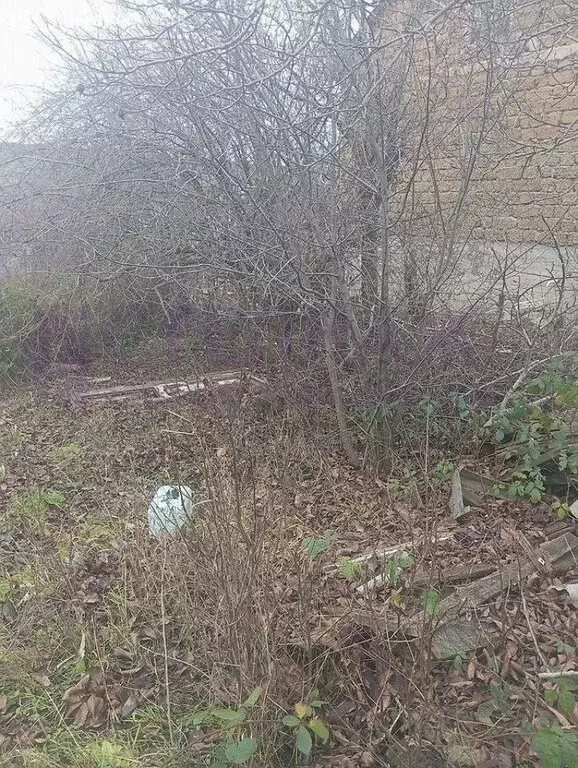 Участок в Старый Крым, Майская улица (6 м) - Фото 2