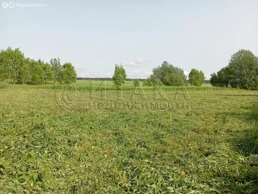 Участок в Волосовский район, Бегуницкое сельское поселение, деревня ... - Фото 0