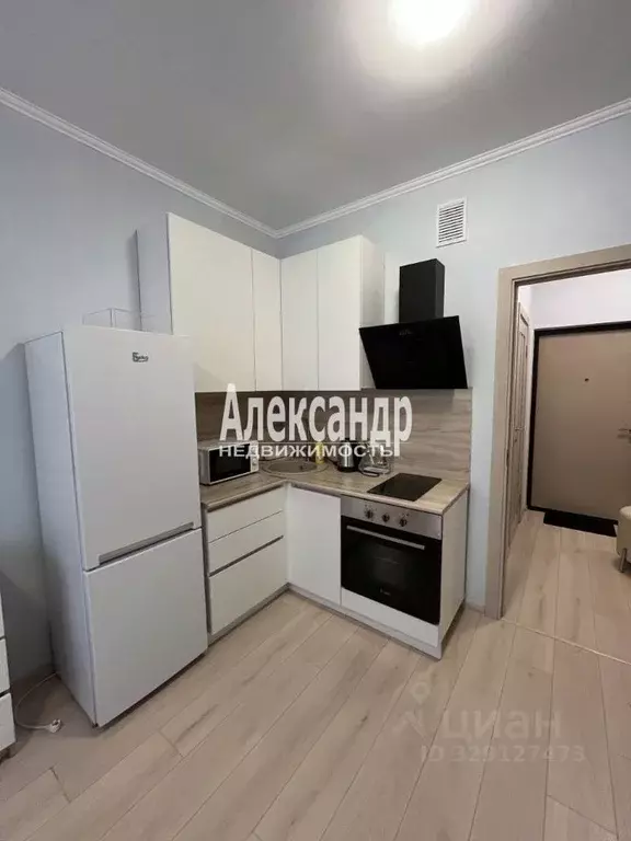 Студия Санкт-Петербург аллея Арцеуловская, 7к2 (21.5 м) - Фото 1