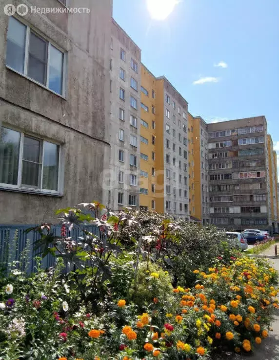 3-комнатная квартира: Барнаул, микрорайон Западный, Горно-Алтайская ... - Фото 1