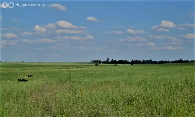 Участок в Ровенский район, село Первомайское (1.79 м) - Фото 1