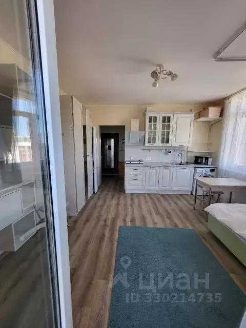 Студия Санкт-Петербург просп. Маршала Блюхера, 9к2 (25.0 м) - Фото 2