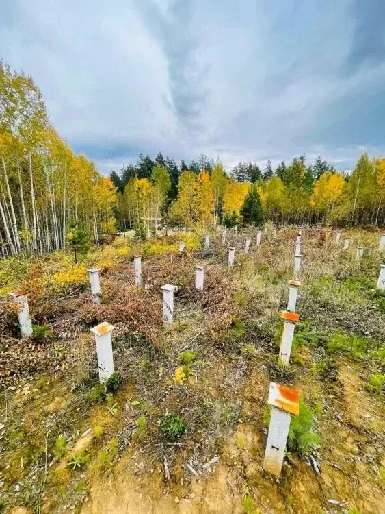 Участок в Иркутская область, Иркутский муниципальный округ, д. ... - Фото 2
