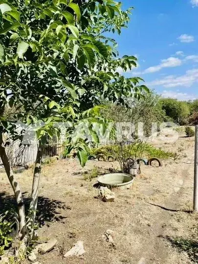 Участок в Крым, Симферопольский район, Трудовское с/пос, с. Ана-Юрт, ... - Фото 2