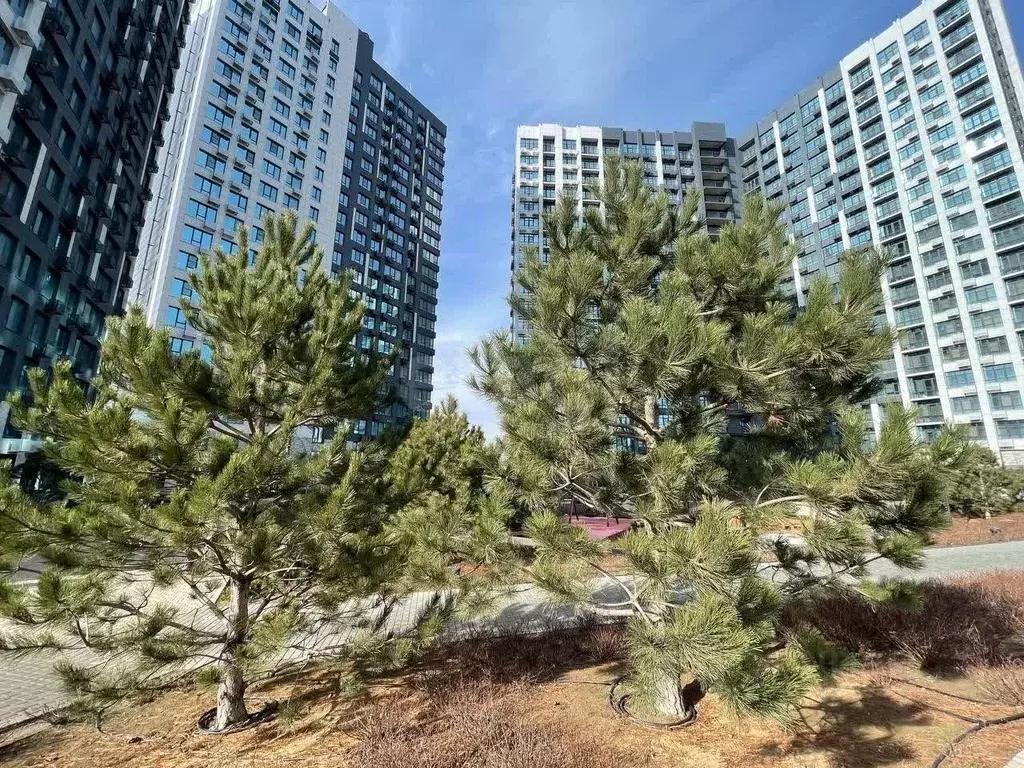 1-к кв. Астраханская область, Астрахань ул. Бехтерева, 2Б (30.6 м) - Фото 1