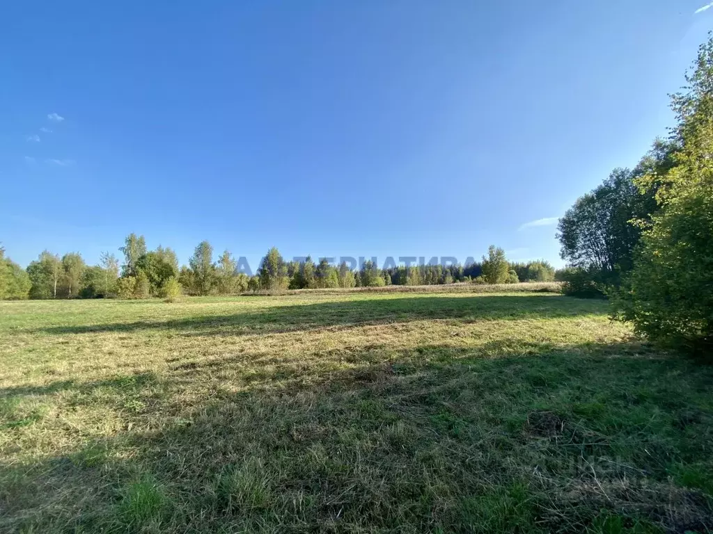 Участок в Ярославская область, Переславль-Залесский городской округ, ... - Фото 0