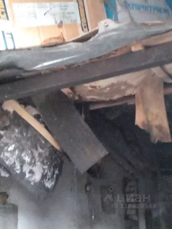 Помещение свободного назначения в Чувашия, Козловка ул. Свободной ... - Фото 0