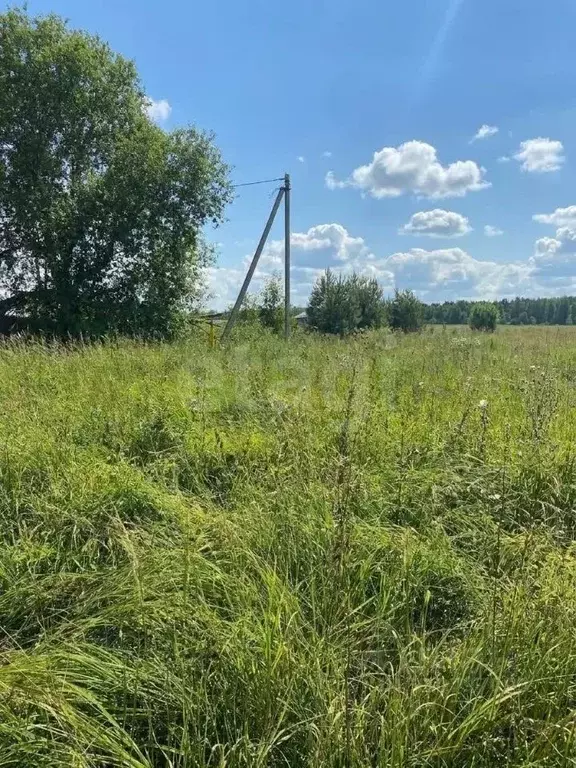 Участок в Владимирская область, Ковровский муниципальный округ, д. ... - Фото 1