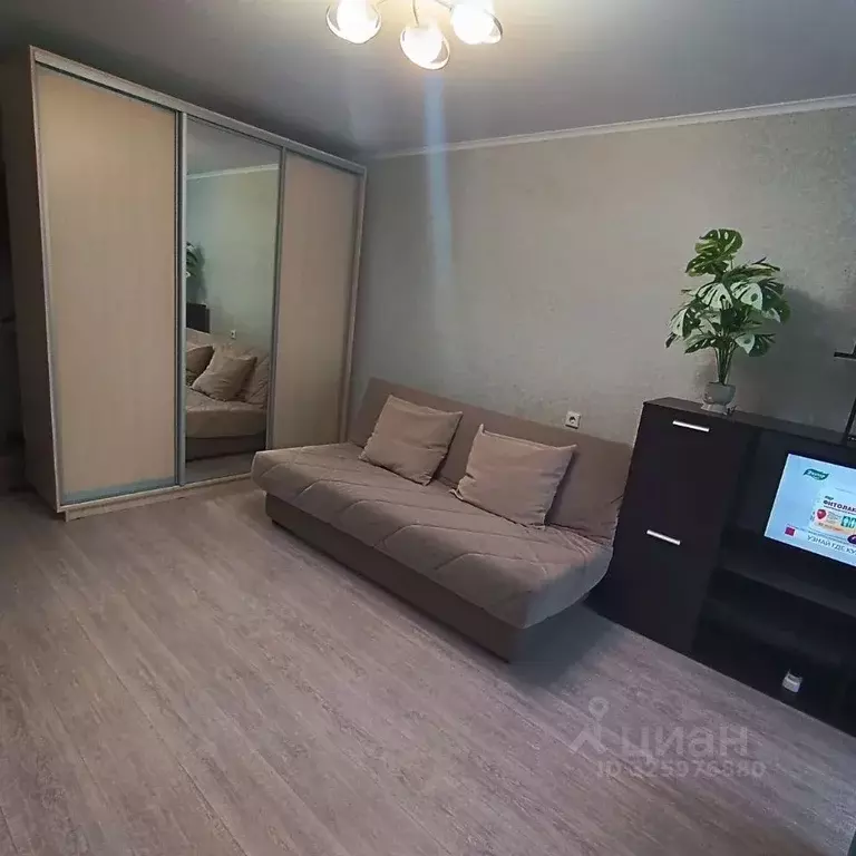 Студия Краснодарский край, Анапа ул. Адмирала Пустошкина, 22к8 (31.0 ... - Фото 2