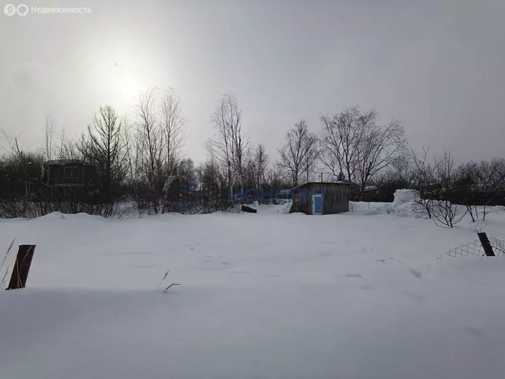 Участок в Нижний Новгород, СНТ № 3, 684А (4.87 м) - Фото 2