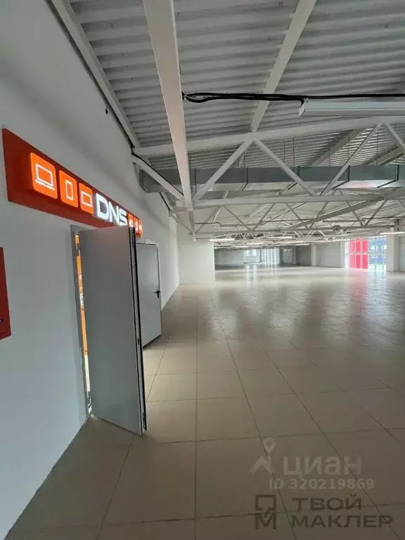 Торговая площадь в Пензенская область, Пенза ул. Чаадаева, 111Б (333 ... - Фото 2