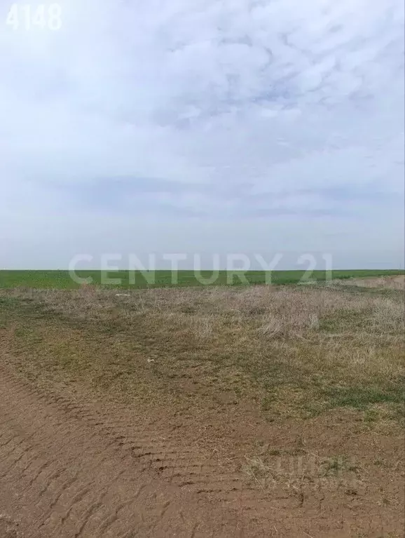 Участок в Крым, Сакский район, Суворовское с/пос, с. Великое ул. ... - Фото 2