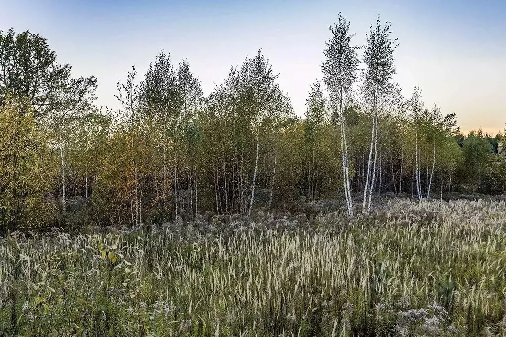 Участок в Московская область, Одинцовский городской округ, д. Дарьино, ... - Фото 0