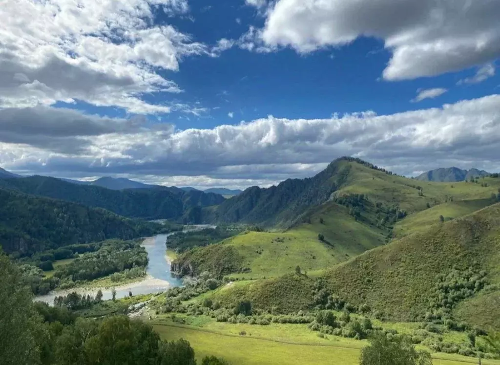 Участок в Алтай, Турочакский район, с. Тондошка  (60.0 сот.) - Фото 1