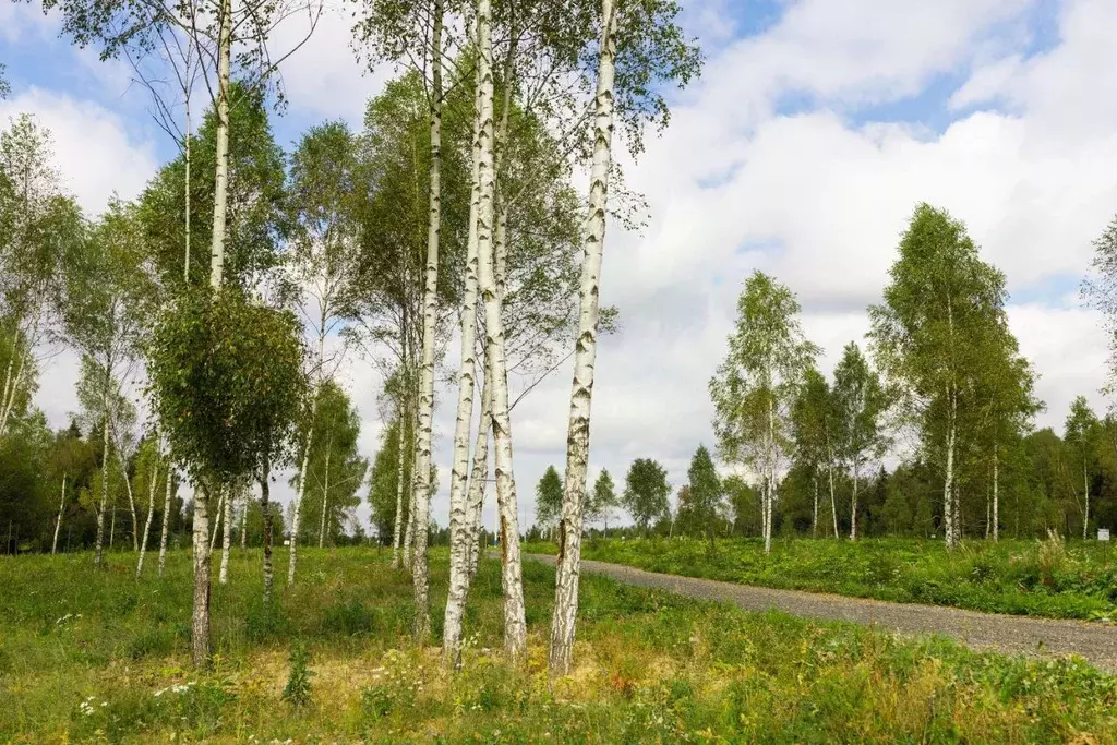 Участок в Московская область, Солнечногорск городской округ, д. ... - Фото 1