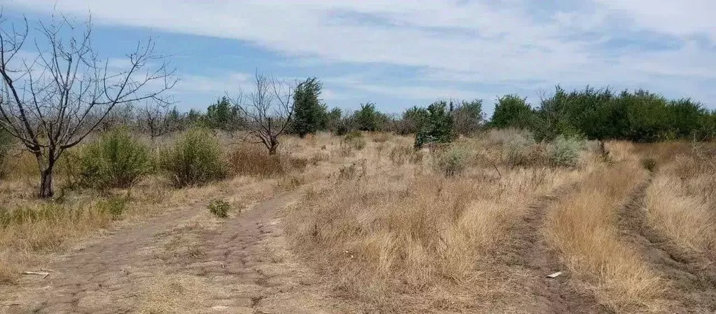 Участок в Ростовская область, Азов Азовский район, ул. Победы (6.0 ... - Фото 1