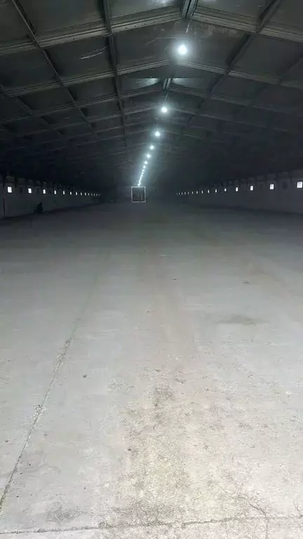 Склад в Краснодарский край, Крымск Коммунистическая ул., 248 (2000 м) - Фото 1