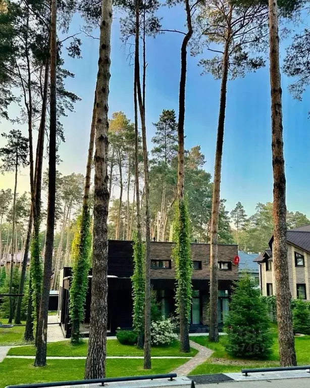 Участок в Московская область, Мытищи городской округ, пос. ... - Фото 1