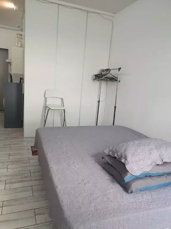 Студия Москва пос. Коммунарка, ул. Бачуринская, 7к2 (26.0 м) - Фото 2
