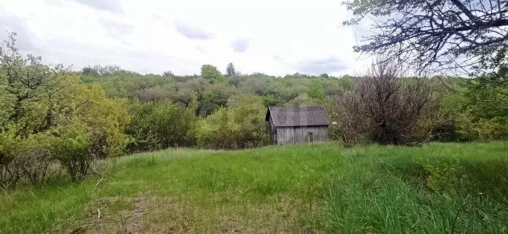 Участок в Губкин, СТ Горняк-Мичуринец (7.66 м) - Фото 2