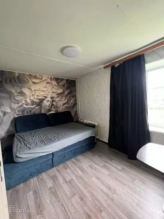 2-к кв. Камчатский край, Елизовский муниципальный округ, с. Коряки ул. ... - Фото 2