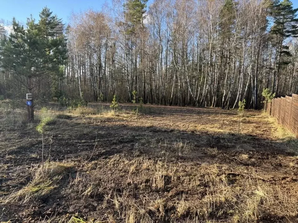 Участок в Тульская область, Заокский район, Страховское с/пос, ... - Фото 2