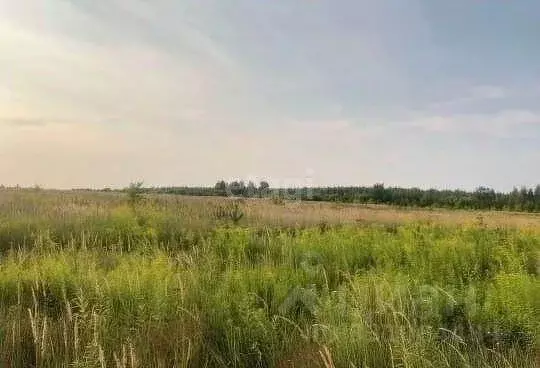 Участок в Липецкая область, Липецк Желтые пески СНТ, уч763 (10.9 сот.) - Фото 1