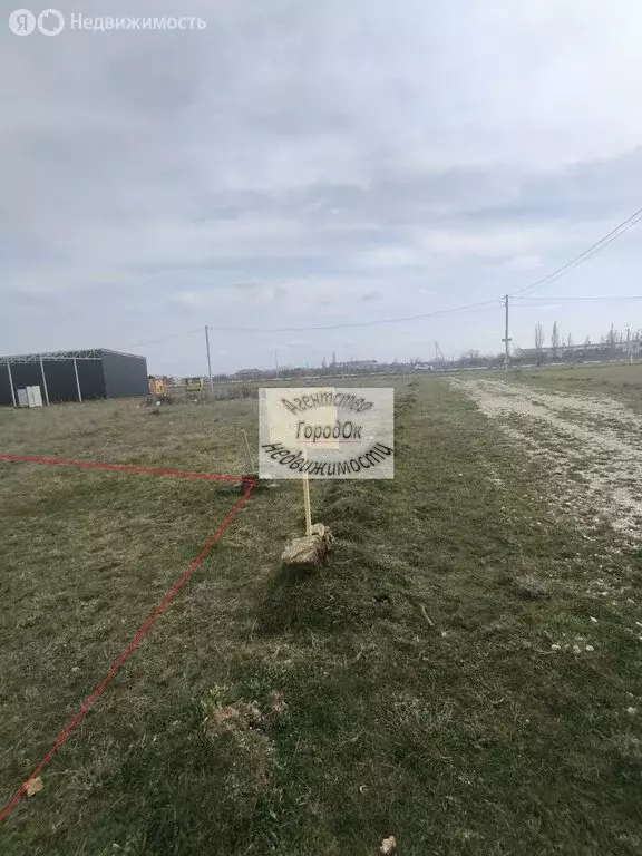 Участок в Саки, Ясная улица, 6 (6 м) - Фото 1