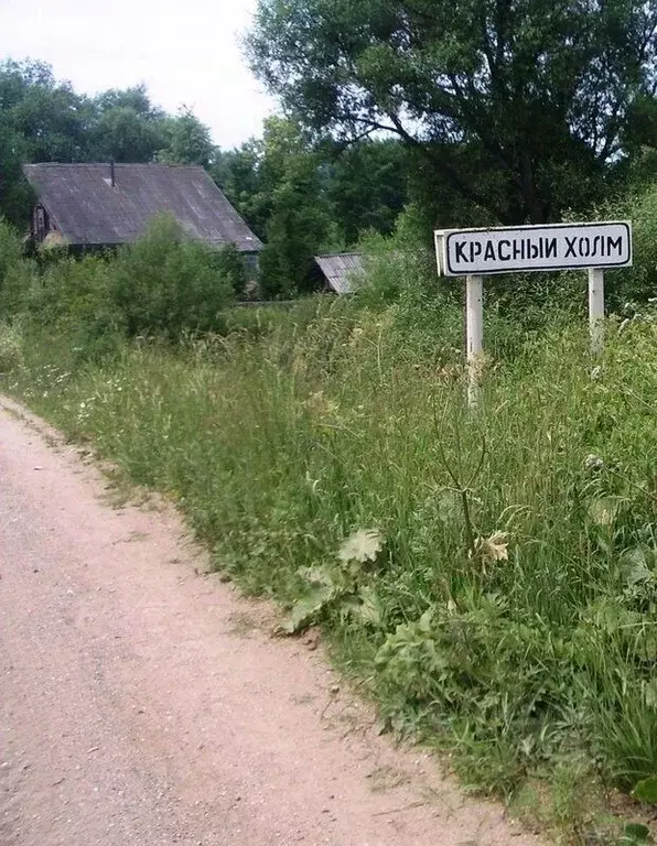 Участок в Тверская область, Красный Холм Октябрьская ул., 88А (15.0 ... - Фото 1