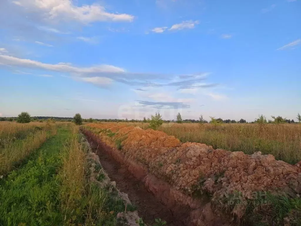 Участок в Вологодская область, Шексна рп  (11.53 сот.) - Фото 1