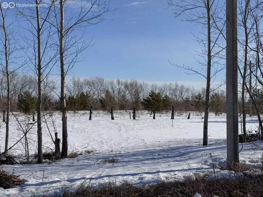 Участок в посёлок Бельмесево, 1-я Камышовая улица (11 м) - Фото 2