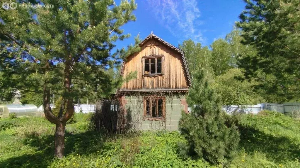 Дом в Новосибирский район, село Барышево (40 м) - Фото 0