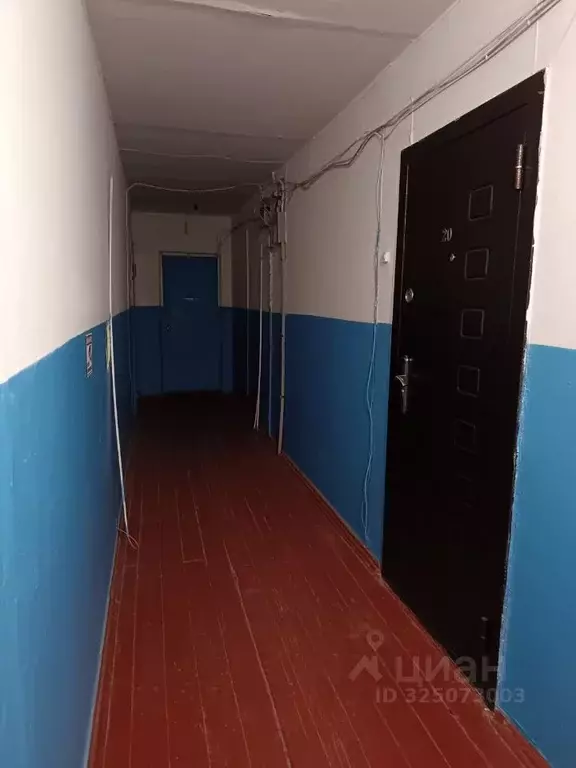 1-к кв. Алтайский край, Новоалтайск ул. 40 лет ВЛКСМ, 11 (21.0 м) - Фото 2