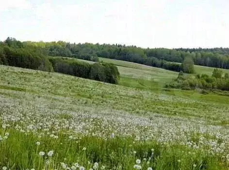 Участок в Вологодская область, Верховажский муниципальный округ, д. ... - Фото 0