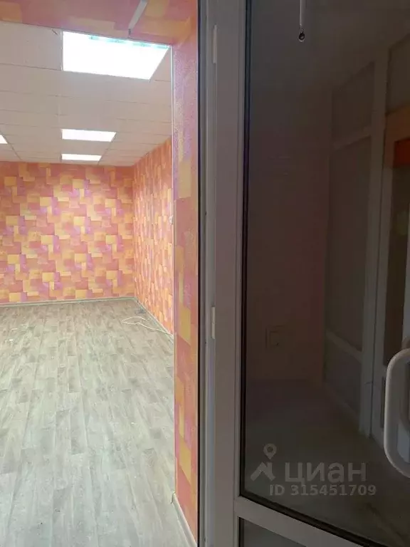 Помещение свободного назначения в Саратовская область, Саратов ул. ... - Фото 1